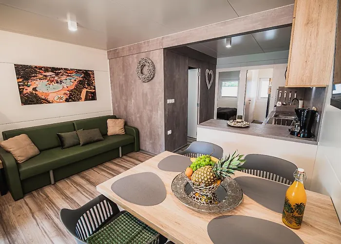 Premium Mobile Homes With Thermal Riviera Tickets Casa vacanze Catez ob Savi